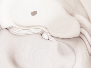 4-Silences organiques